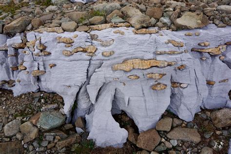 chert nodules in limestone.